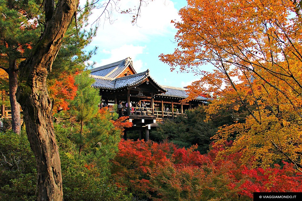 GIAPPONE: i colori dell'autunno - Mondo in Valigia